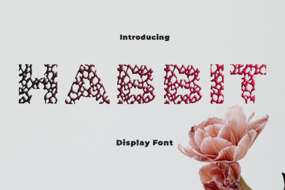 Habbit: A Display Font That Feels Like a Thoughtful Pause